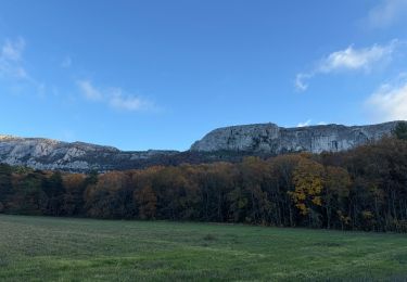 Randonnée Marche Nans-les-Pins - Ste Baume - Photo