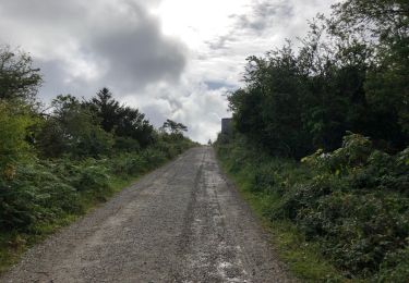 Tour Wandern Crozon - Jjj4 ça chèvre  - Photo