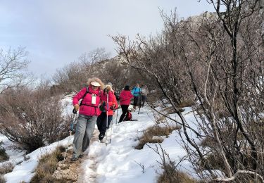 Trail Walking Plan-d'Aups-Sainte-Baume - sentiers merveilleux - Photo