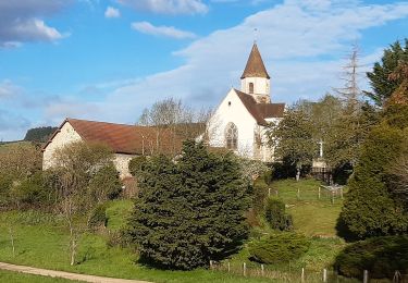 Excursión A pie Le Quartier - La Foret du Quartier - Photo