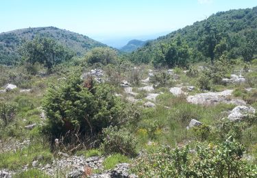 Tour Wandern Saint-Jeannet - St=Jeannet  Les deux Baous - Photo