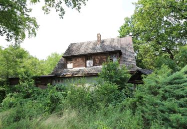 Percorso A piedi Märkische Heide - Wanderweg Richtung Dürrenhofe, Krugau - Photo