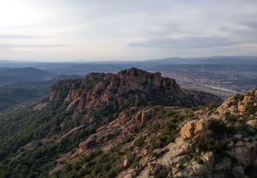 Tocht Stappen Roquebrune-sur-Argens - Le Rocher de Roquebrune - Photo