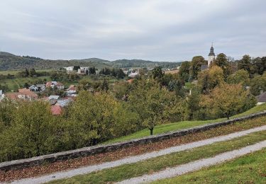 Excursión A pie okres Banská Bystrica - SK-5697M - Photo