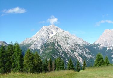 Tocht Te voet Calalzo di Cadore - IT-261 - Photo