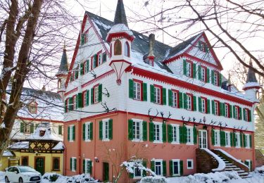 Tocht Te voet Michelstadt - Rundwanderweg Gönz 3 : Eulbach-Weg - Photo