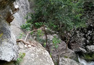 Trail Walking Cheval-Blanc - gorges du regalon - Photo