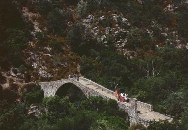 Tour Zu Fuß Ota - Ota canyons - Photo