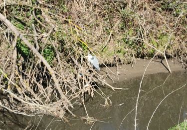 Trail Walking Bures-sur-Yvette - bures - Photo