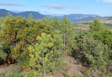 Tocht Stappen Prades-sur-Vernazobre - Prades-Broutelade  - Photo