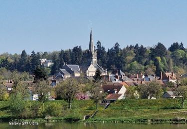 Randonnée Marche Gien - Gien à briare 45 - Photo