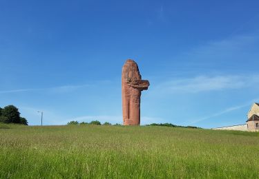 Trail Walking Mondement-Montgivroux - Mondement du 21/05/2020 - Photo