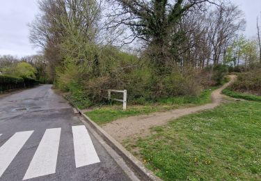 Percorso Marcia Saint-Arnoult-en-Yvelines - Yvelines_Saint-Arnoult=>BoisDeRochefort=>Rochefort - Photo