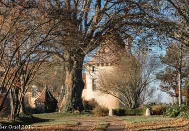 Excursión Senderismo Perche en Nocé - Nobles logis (Préaux-du-Perche) 9,4Km - Photo