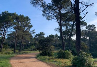 Tour Wandern Aix-en-Provence - Prés d'Aix, les barrages de Bimont et Zola - Photo