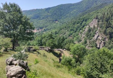 Excursión Senderismo Labastide-sur-Bésorgues - Autour de Freyssenet  - Photo