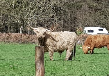 Tocht Stappen Raeren - 2021-04-02_18h39m41_975 - Photo