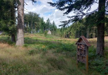 Excursión Senderismo Raon-aux-Bois - raon aux bois anniversaire Président  - Photo