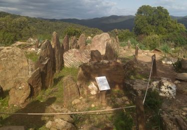 Tour Wandern La Londe-les-Maures - La Londe les Maures le col du merle et Dolmen de Gaoutabry - Photo