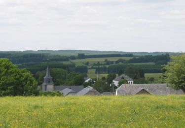 Tocht Te voet Habay - Sentier de la Cornaille - Photo