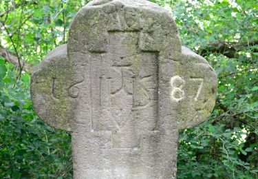 Tour Zu Fuß Steinheim - Rundwanderweg A6 [Sandebeck] - Photo