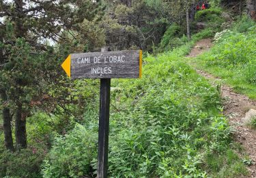 Tour Wandern  - incles - Photo
