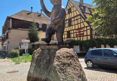 Trail Walking Andlau - Andlau Chateaux Haut Andlau et Spesbourg - Photo
