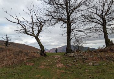 Trail Walking Saint-Martin-d'Arrossa - le sentier des mines en passant par le sommet du Larla - Photo