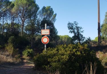 Tour Wandern Le Muy - Corbières  1 - Photo