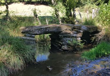 Trail Walking Beaulieu-sur-Dordogne - de Beaulieu à Camps St Mathurin - Photo