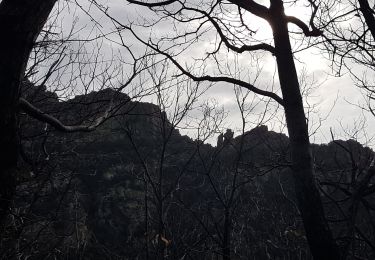 Tour Nordic Walking Colombières-sur-Orb - Gorges de Colombières  - Photo