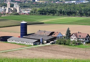 Percorso A piedi Stadel - Windlach - Zweidlen - Photo