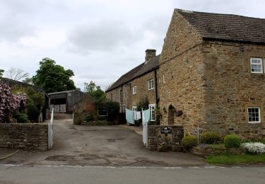 Randonnée A pied  - Mineral Valleys Walk: Frosterley (Walk 3) - Photo