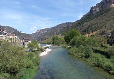 Tocht Stappen La Malène - Voyage au pays des vautours  - Photo