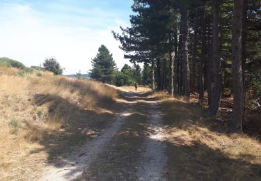 Randonnée Marche Malarce-sur-la-Thines - thines  - Photo