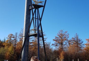 Excursión Marcha nórdica Gedinne - Croix Scaille - Photo