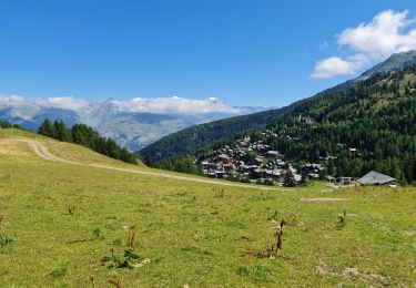 Tour Wandern La Plagne-Tarentaise - La Plagne Village Belle Plagne Bellecôte Plagne 1800 Plagne Centre  - Photo