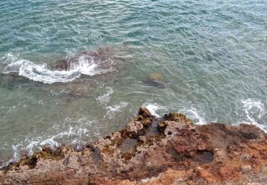 Tocht Stappen Bouillante - Pointe à Lézard 2 - Photo