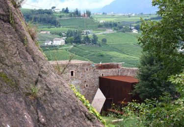 Tocht Te voet Eppan an der Weinstraße - Appiano sulla Strada del Vino - IT-2 - Photo