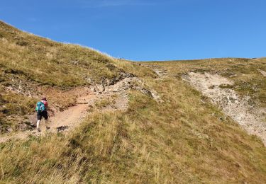 Tour Wandern Stoßweier - Gaschney - Frankenthal - Hohneck - Schiessroth - Photo