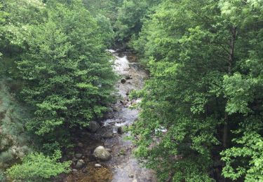 Trail Walking Valgorge - Chastanet le tour...allongé - Photo
