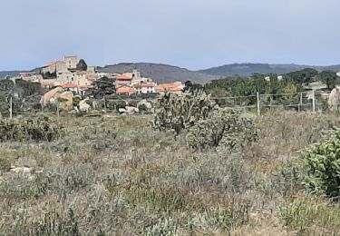 Trail Walking Montalba-le-Château - Montauban le château corral grandes or - Photo
