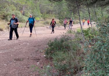 Trail Walking Peynier - Les Michel  - Photo