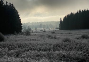 Tour Wandern Büllingen - Vallée de la Schwalm & rocher du Bieley - Photo