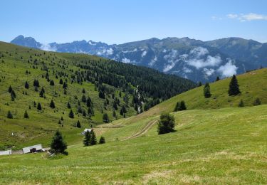 Randonnée Marche Lüsen - Luson - Lüsner Alm - Sommet du Campill - Photo