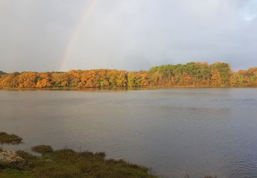 Trail Walking Vannes - CAA28112019 LE VINCIN CONLEAU - Photo