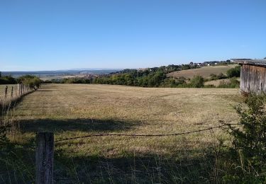 Tour Wandern Dehlingen - Dehlingen Remelfing - Photo
