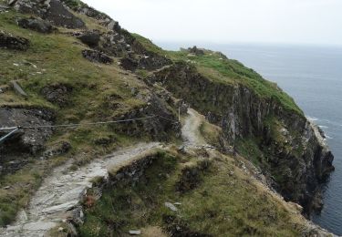 Tocht Te voet West Cork - Poet's Way - Photo