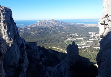 Tour Wandern Marseille - Massif du Puget grande Candelle - Photo