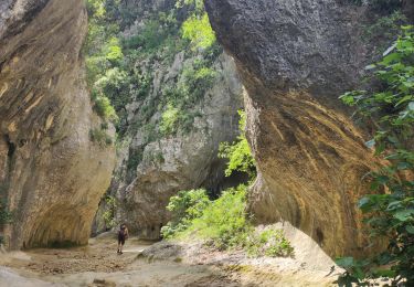Trail Walking Lussan - concluses départ lussan - Photo